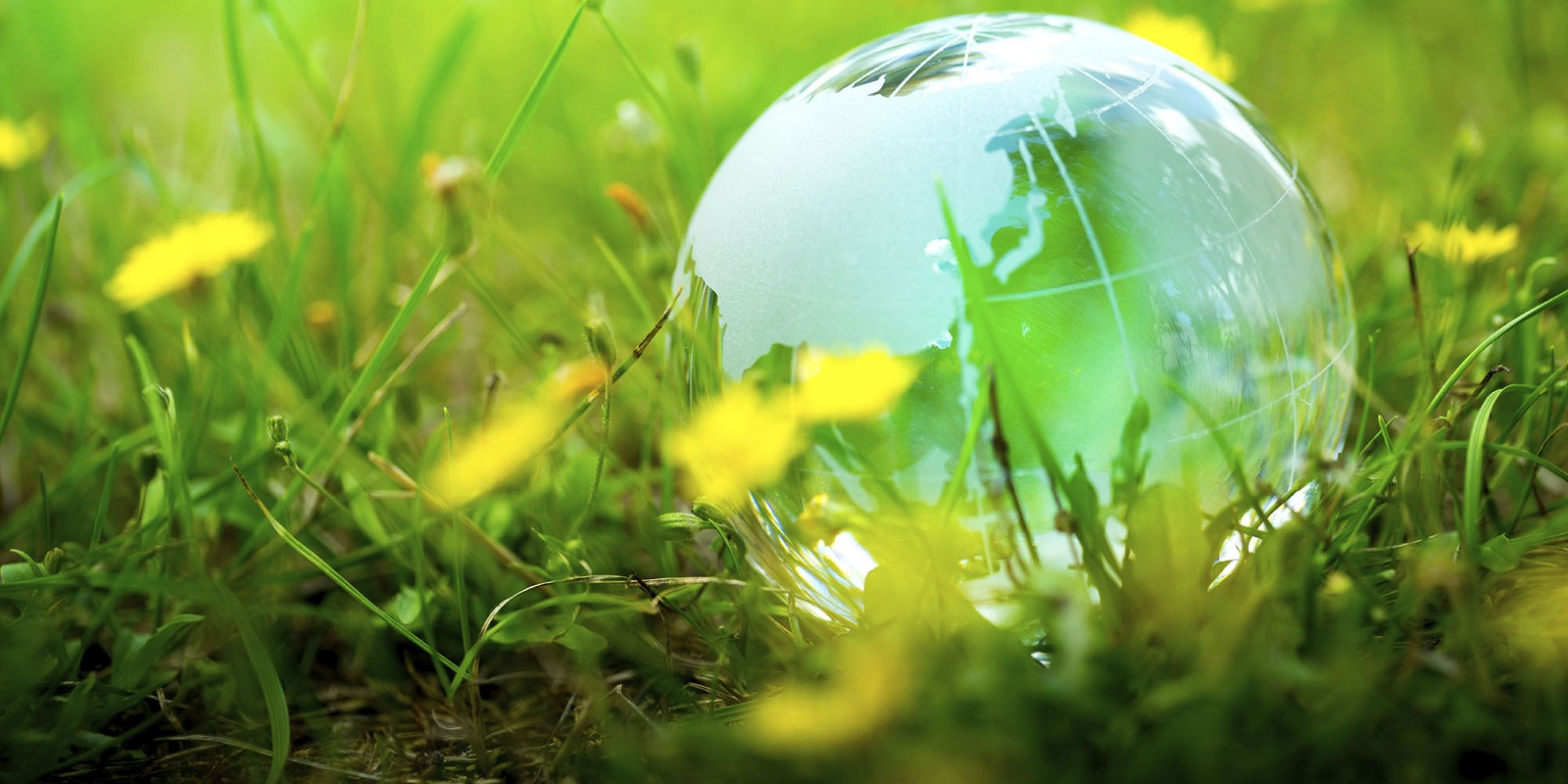 ISO-14001-Banner-Copy